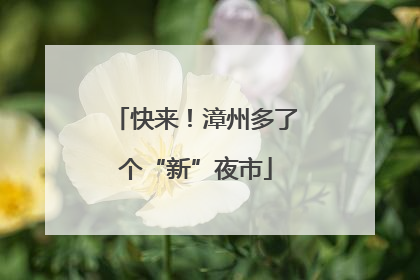 快来！漳州多了个“新”夜市