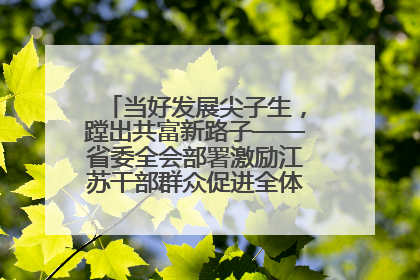 当好发展尖子生，蹚出共富新路子——省委全会部署激励江苏干部群众促进全体人民共同富裕