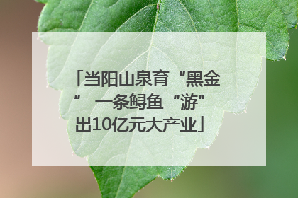 当阳山泉育“黑金” 一条鲟鱼“游”出10亿元大产业