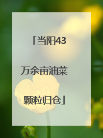 当阳43万余亩油菜颗粒归仓