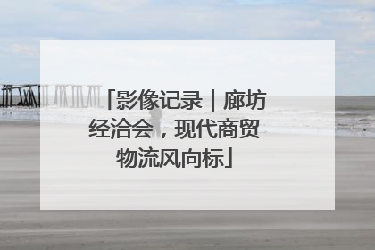 影像记录｜廊坊经洽会，现代商贸物流风向标