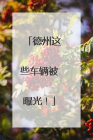德州这些车辆被曝光！