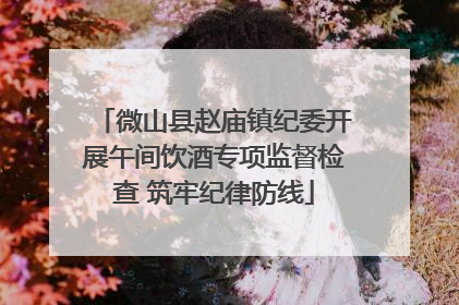 微山县赵庙镇纪委开展午间饮酒专项监督检查 筑牢纪律防线