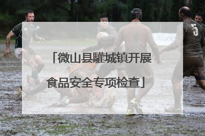 微山县驩城镇开展食品安全专项检查
