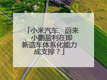 小米汽车、蔚来、小鹏盈利在即 新造车体系化能力成支撑？