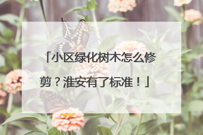 小区绿化树木怎么修剪？淮安有了标准！