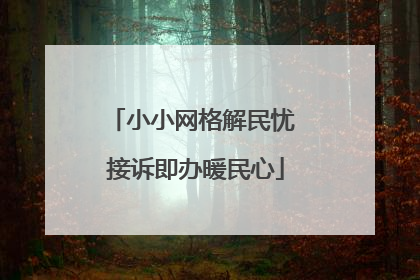 小小网格解民忧 接诉即办暖民心