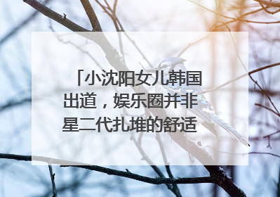 小沈阳女儿韩国出道，娱乐圈并非星二代扎堆的舒适区｜文艺评论