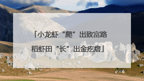 小龙虾“爬”出致富路 稻虾田“长”出金疙瘩