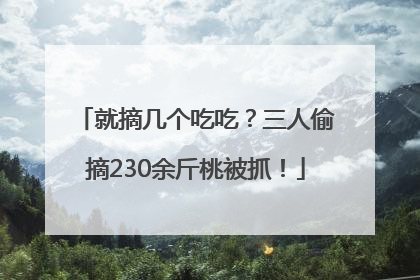 就摘几个吃吃？三人偷摘230余斤桃被抓！