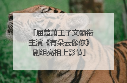 屈楚萧王子文领衔主演《有朵云像你》剧组亮相上影节
