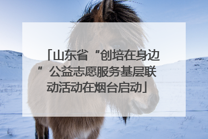 山东省“创培在身边”公益志愿服务基层联动活动在烟台启动