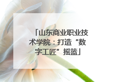 山东商业职业技术学院：打造“数字工匠”摇篮