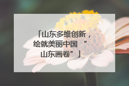 山东多维创新，绘就美丽中国 “山东画卷”