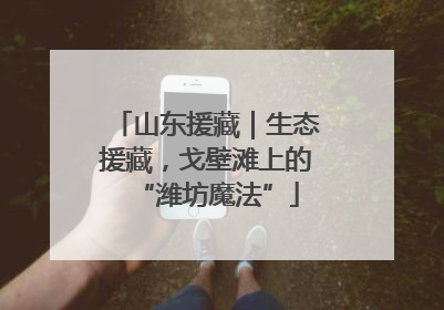 山东援藏｜生态援藏，戈壁滩上的“潍坊魔法”