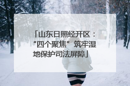 山东日照经开区：“四个聚焦”筑牢湿地保护司法屏障