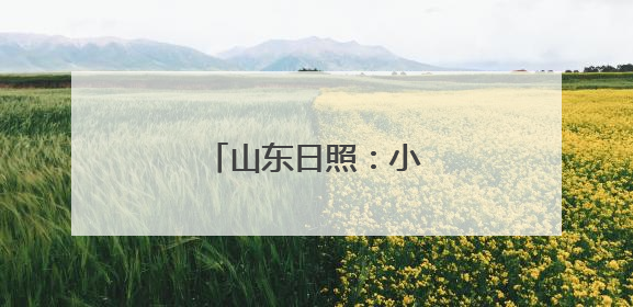 山东日照：小海马 大产业