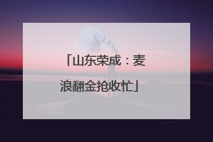 山东荣成：麦浪翻金抢收忙