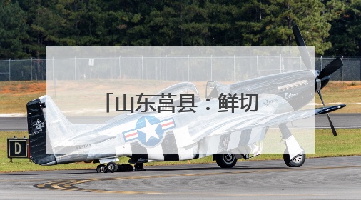 山东莒县：鲜切花产业成为当地农业增效、农民增收的重要产业发展和特色品牌