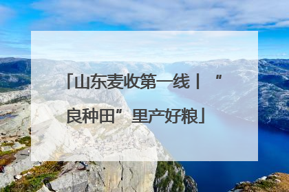 山东麦收第一线丨“良种田”里产好粮