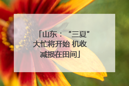 山东：“三夏”大忙将开始 机收减损在田间