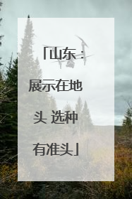 山东：展示在地头 选种有准头