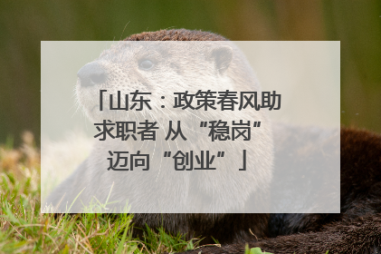山东：政策春风助求职者 从“稳岗”迈向“创业”