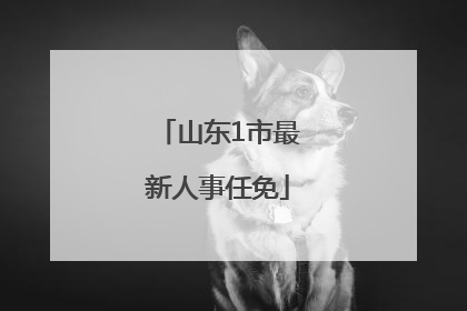 山东1市最新人事任免