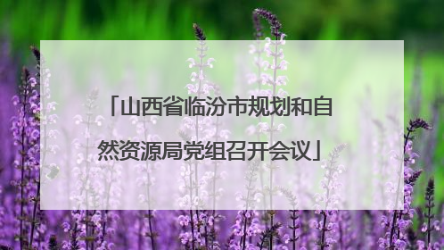 山西省临汾市规划和自然资源局党组召开会议