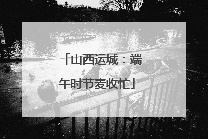 山西运城：端午时节麦收忙