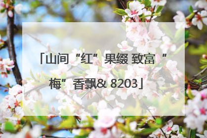 山间“红”果缀 致富“梅”香飘& 8203