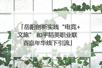 岳阳创新实践“电竞+文旅” 和平精英职业联赛嘉年华线下引流