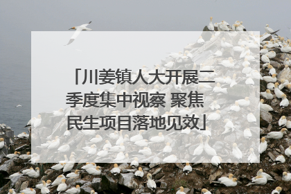 川姜镇人大开展二季度集中视察 聚焦民生项目落地见效