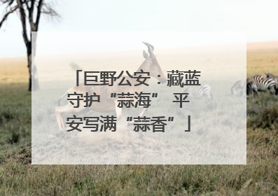 巨野公安：藏蓝守护“蒜海” 平安写满“蒜香”