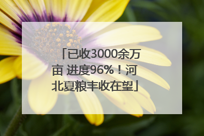 已收3000余万亩 进度96%！河北夏粮丰收在望