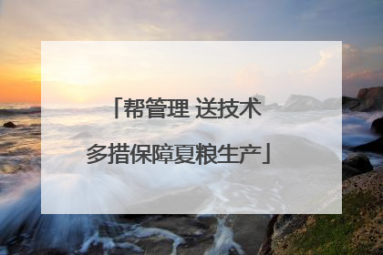 帮管理 送技术 多措保障夏粮生产