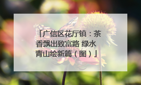 广信区花厅镇：茶香飘出致富路 绿水青山绘新篇（图）