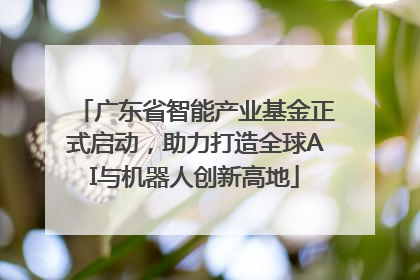 广东省智能产业基金正式启动，助力打造全球AI与机器人创新高地