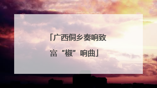 广西侗乡奏响致富“椒”响曲