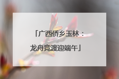 广西侨乡玉林：龙舟竞渡迎端午
