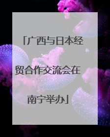 广西与日本经贸合作交流会在南宁举办