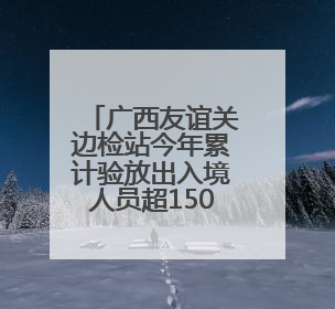 广西友谊关边检站今年累计验放出入境人员超150万人次