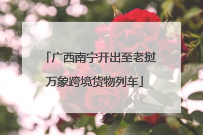 广西南宁开出至老挝万象跨境货物列车