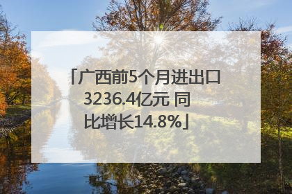 广西前5个月进出口3236.4亿元 同比增长14.8%