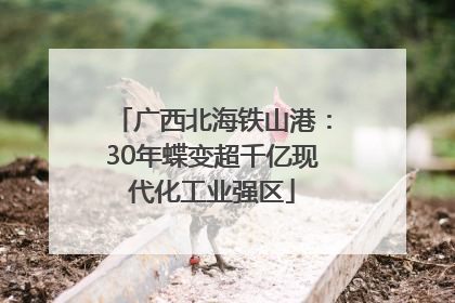 广西北海铁山港：30年蝶变超千亿现代化工业强区