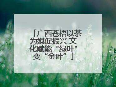 广西苍梧以茶为媒促振兴 文化赋能“绿叶”变“金叶”