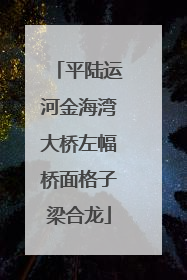 平陆运河金海湾大桥左幅桥面格子梁合龙
