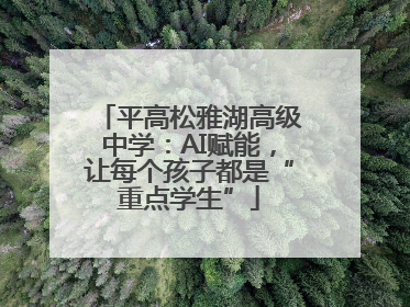 平高松雅湖高级中学：AI赋能，让每个孩子都是“重点学生”