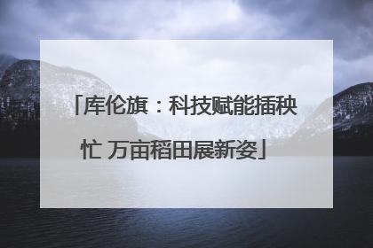 库伦旗：科技赋能插秧忙 万亩稻田展新姿