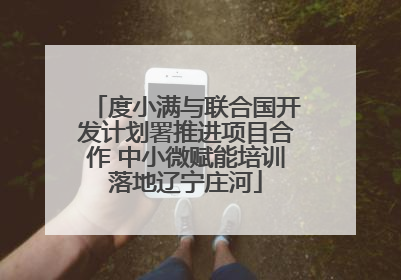 度小满与联合国开发计划署推进项目合作 中小微赋能培训落地辽宁庄河